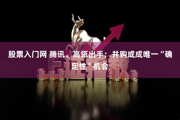 股票入门网 腾讯、高瓴出手：并购或成唯一“确定性”机会